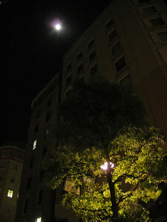 201112_tokio003.jpg