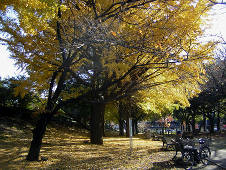 201112_tokio014.jpg