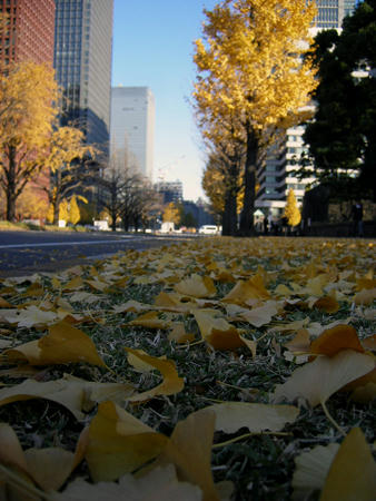 201112_tokio027.jpg