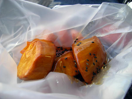 201112_tokio104.jpg