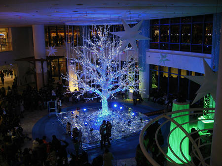 201112_tokio115.jpg