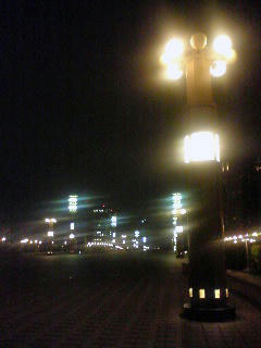 20120122_01.jpg