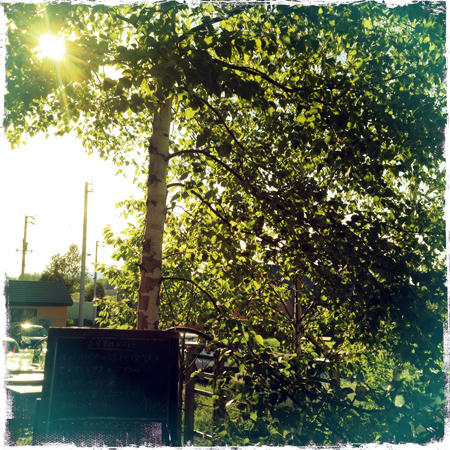 20120908_biei_02.jpg