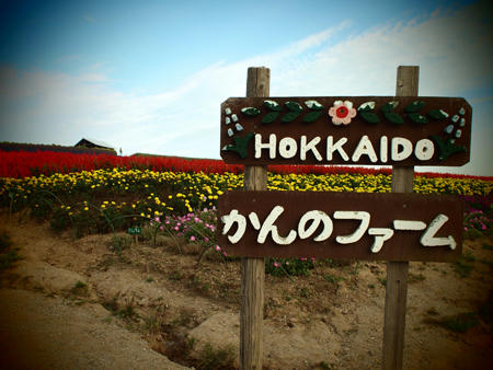 20120908_biei_08.jpg