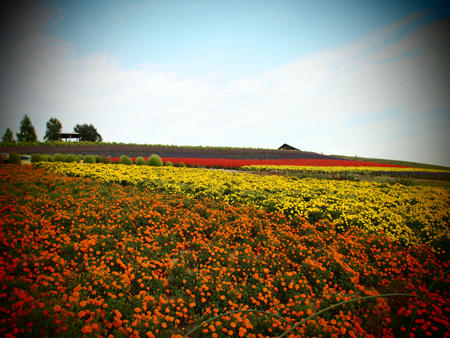 20120908_biei_09.jpg