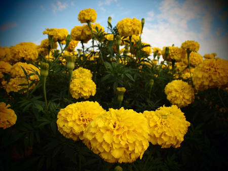 20120908_biei_10.jpg