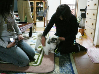 P1160276_1.JPG