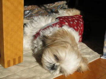 IMG_2006_3.JPG