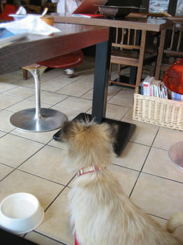 IMG_1075_1.JPG