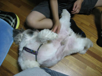 IMG_0066_1.JPG