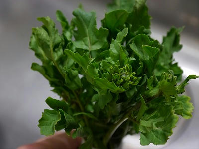 きざんでまぜるルッコラの蕾 ベジファームから届いたよ 野菜セットのレシピ集