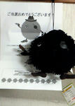 201202071835000.jpg
