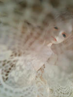 20110224d.JPG