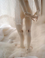 DSC03472.JPG