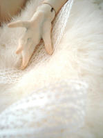 DSC03480.JPG