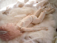 DSC03487.JPG