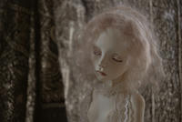 201112262.jpg