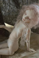 201112263.jpg