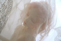 201112265.jpg
