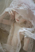 201112268.jpg