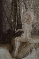 201112261.jpg