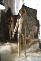 201112269.jpg