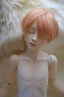 201112272.jpg