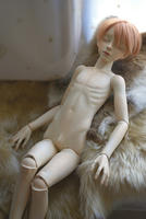 201112275.jpg