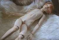 2011122711.jpg