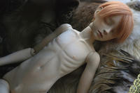 2011122712.jpg