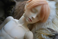 2011122714.jpg