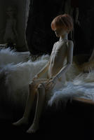 2011122715.jpg