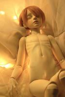 2011122716.jpg