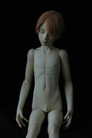 20120201.jpg