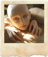 20120405b.jpg