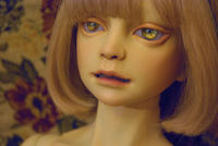 201212163.jpg