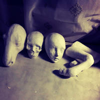 20130212.jpg