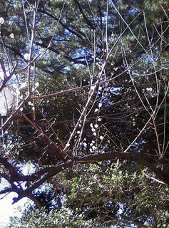 2f079d9d.jpg