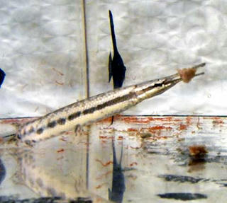 a23315b3.jpg