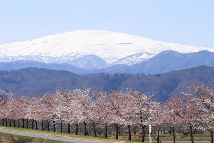 月山も綺麗に見えます。朝暗いうちからカメラマンがぼちぼちきているようです。