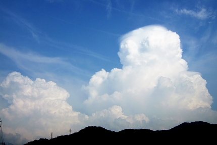 去年の夏雲は８月１１日。（去年のブログより）　今年は早く現れたのですなぁ。