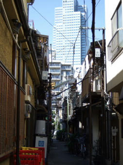 新旧入り交じり・・・