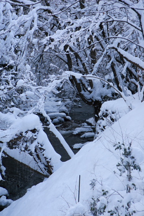 雪見酒