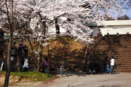 高校 寒河江 山形県寒河江市の高等学校一覧