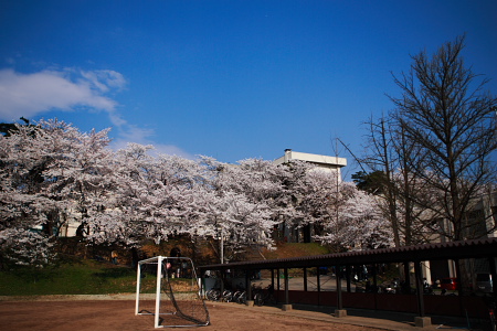 ここから見える風景は20年前から変わっていないな。