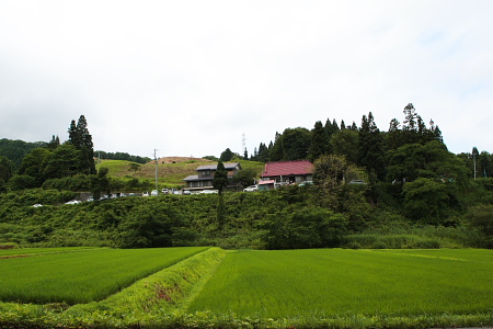 七兵衛そば　