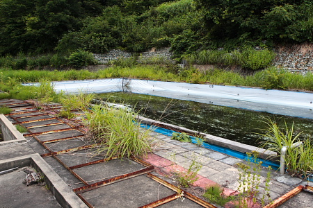 何か居そう。