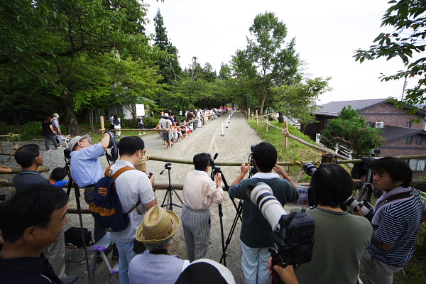 この場所に向かって馬が走る。