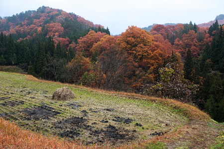 大江町小釿地区の紅葉