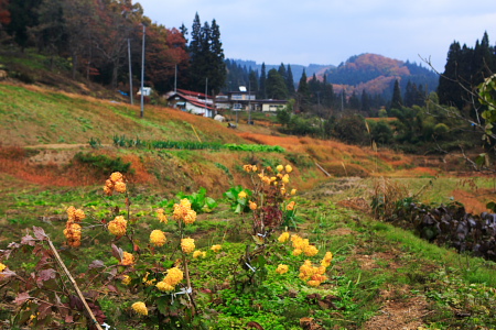 里山の風景